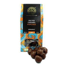 Milk Chocolate covered Salted Caramel Popcorn - Organic 1x16