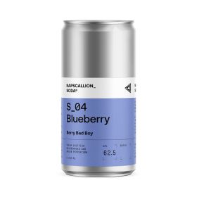 Scottish Blueberry Soda (Seasonal) 12x250ml